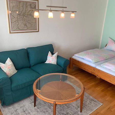 Haemmerle Fewo Holiday Apartment - Green Konstanz Dış mekan fotoğraf